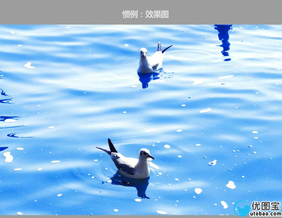 红嘴鸥-后期调色详细步骤分解【（只需十步）将浑浊的海水（湖水