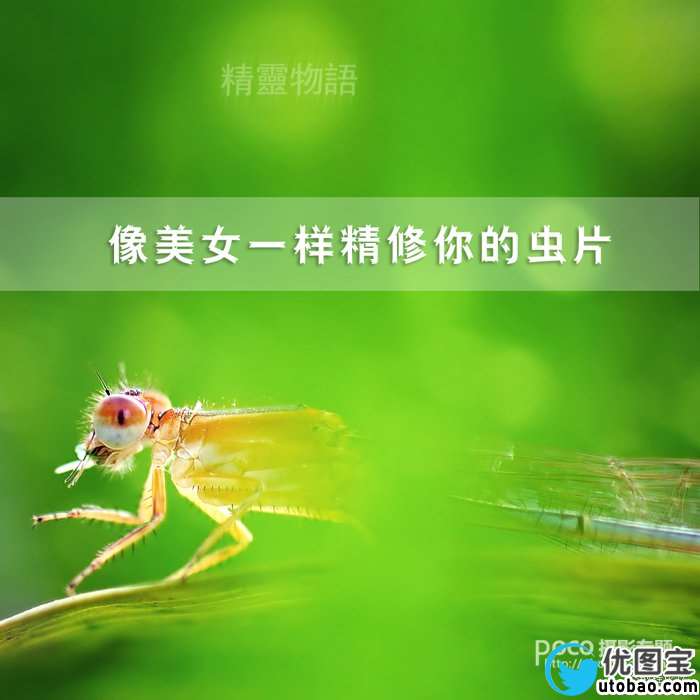 精修虫片图片教程_ps教程自学网(www.utobao.com) 精修虫片图片教程