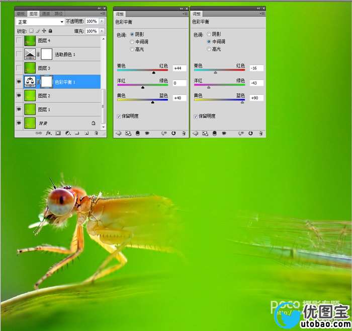 精修虫片图片教程_ps教程自学网(www.utobao.com) 精修虫片图片教程