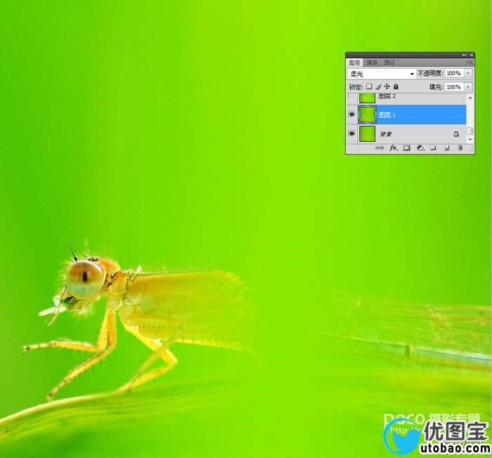精修虫片图片教程_ps教程自学网(www.utobao.com) 精修虫片图片教程