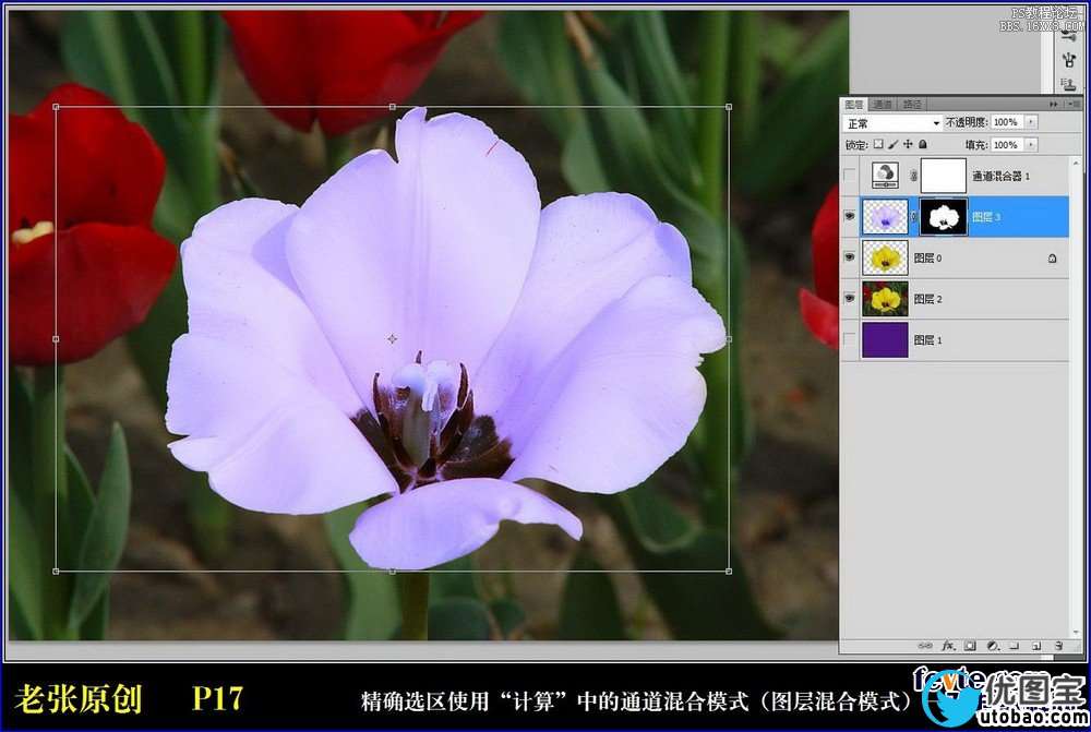 ps利用计算命令计算选区和更换颜色_ps教程自学网(www.utobao.com) ps利用计算命令计算选区和更换颜色
