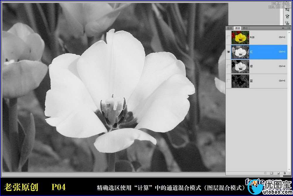 ps利用计算命令计算选区和更换颜色_ps教程自学网(www.utobao.com) ps利用计算命令计算选区和更换颜色