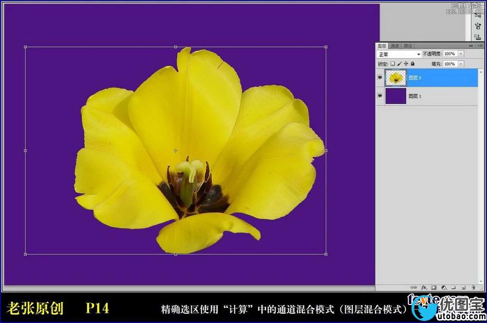 ps利用计算命令计算选区和更换颜色_ps教程自学网(www.utobao.com) ps利用计算命令计算选区和更换颜色
