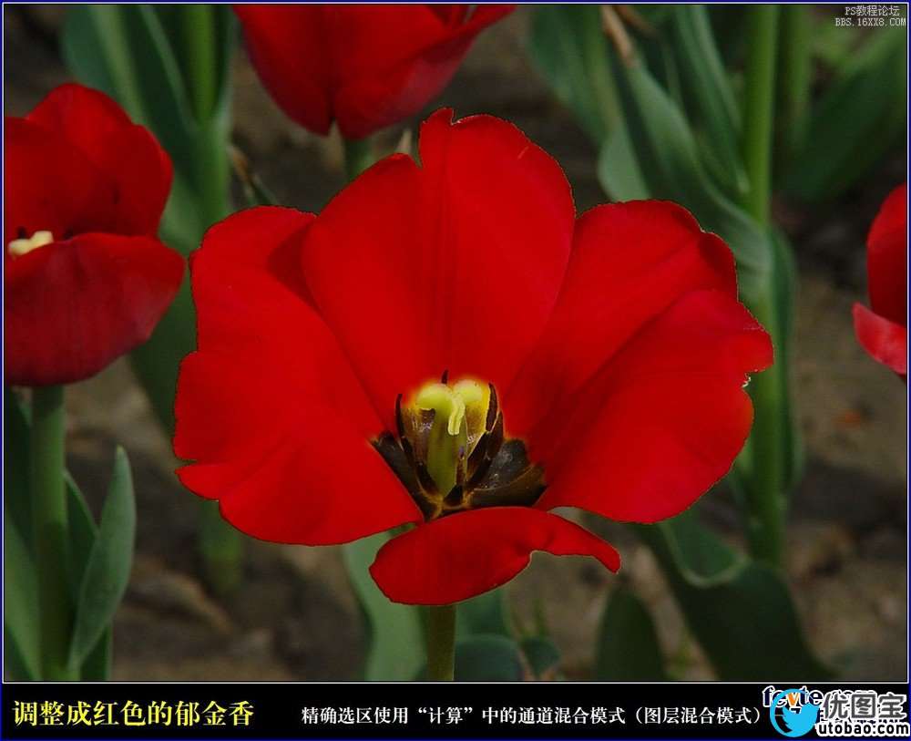 ps利用计算命令计算选区和更换颜色_ps教程自学网(www.utobao.com) ps利用计算命令计算选区和更换颜色