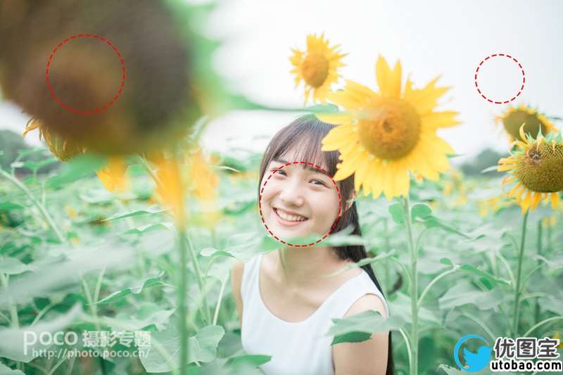 小清新,小清新的向日葵花园人像调色教程_www.utobao.com