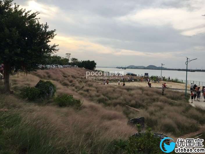 粉色系，用PS把荒草变成粉色梦幻场景_www.utobao.com