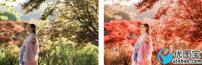 红色秋景，秋季外景人像修图过程_www.utobao.com