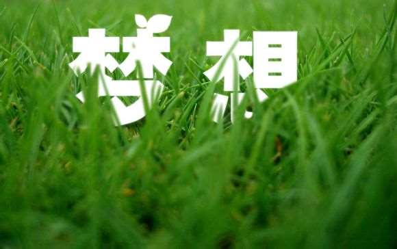PS快速制作草丛里的文字 优图宝 PS文字效果教程