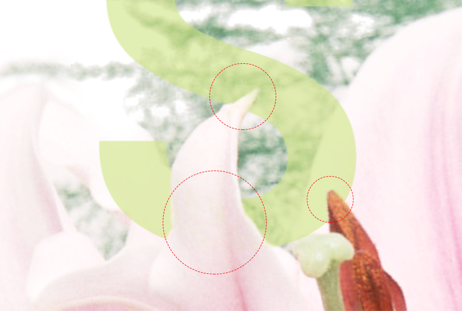 PS蒙版制作穿插在花丛中的文字 优图宝 PS文字效果教程